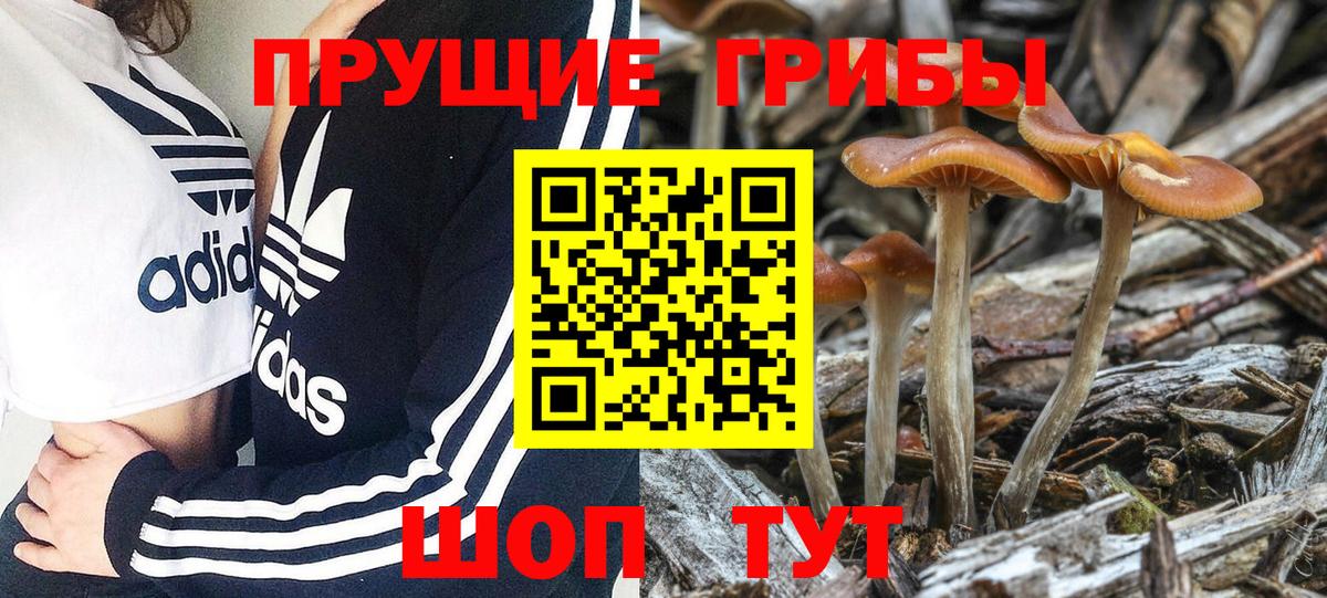 Псилоцибиновые грибы мицелий  Вход с VPN  Красный Сулин 