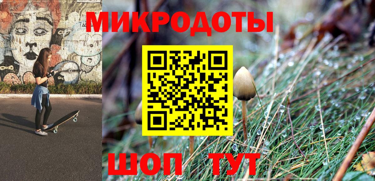 Псилоцибиновые грибы Psilocybine cubensis Красный Сулин